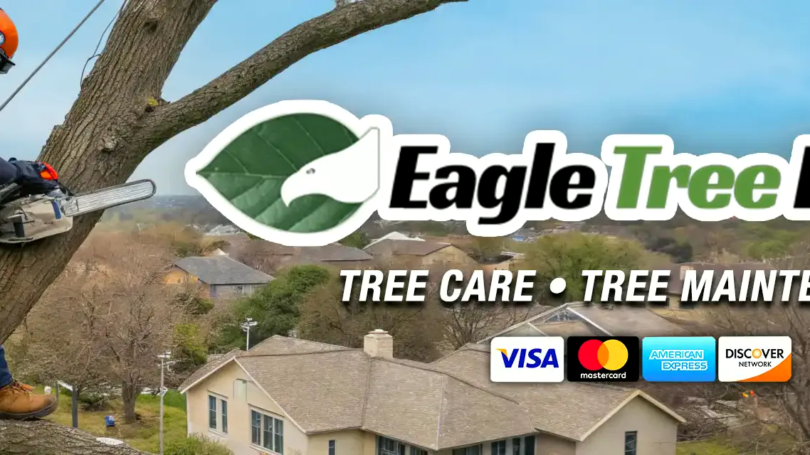 Tree Service Plano, Dallas